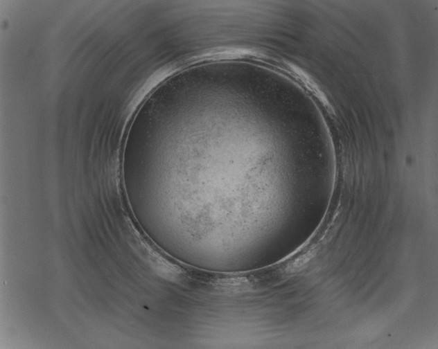 X0000068851186200605081207