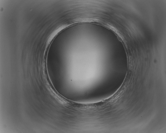 X0000068851187200605081207