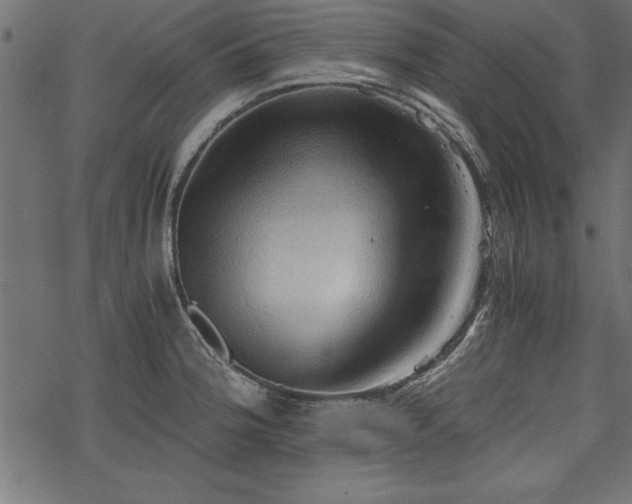 X0000068851188200605081207