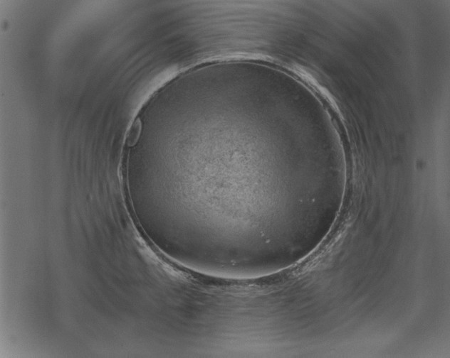 X0000068851189200605081207