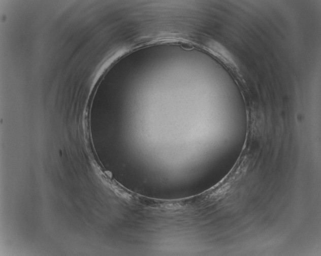 X0000068851190200605081207