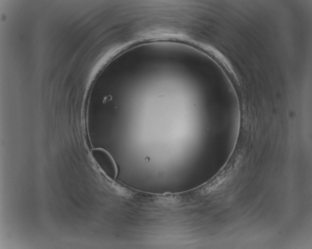 X0000068851191200605081207