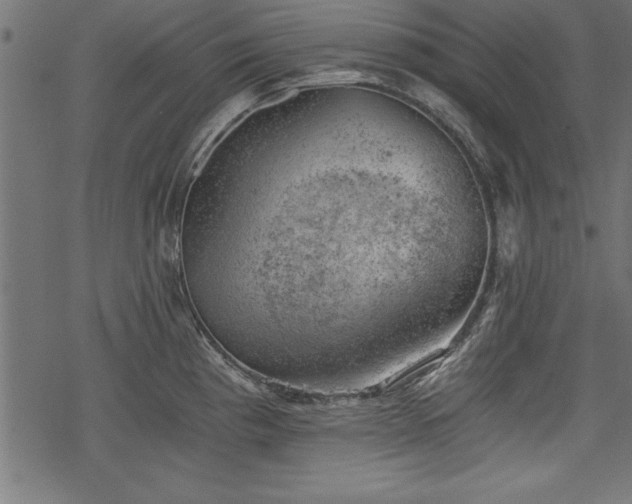 X0000068851193200605081207