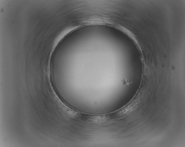 X0000068851195200605081207