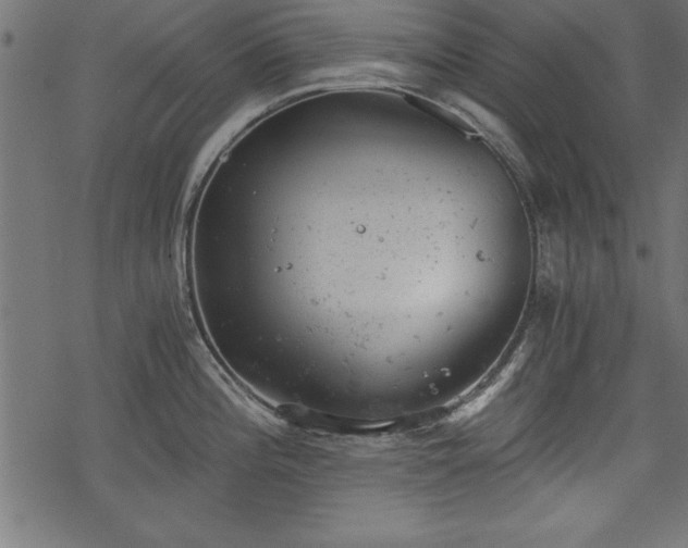 X0000068851196200605081207