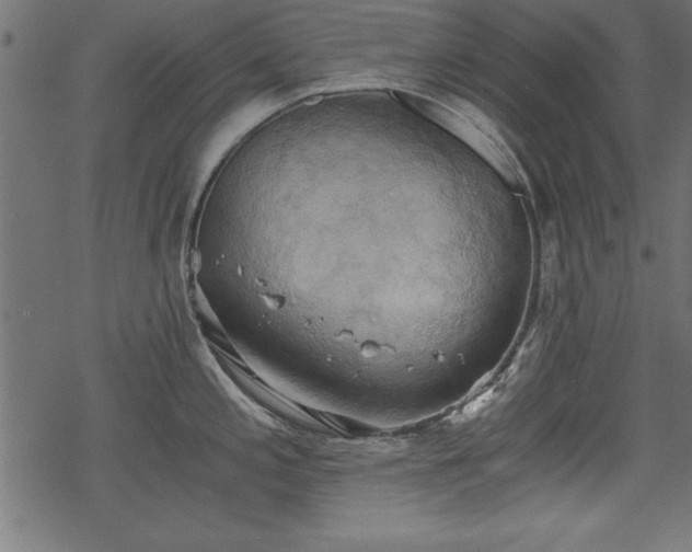 X0000068851197200605081207