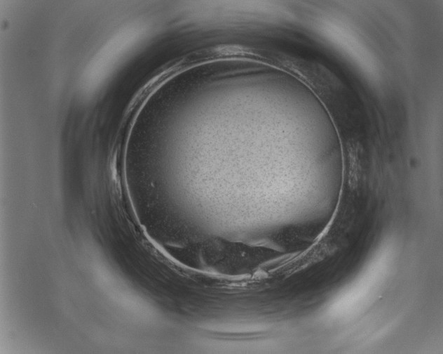 X0000068851198200605081207