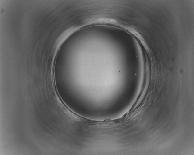 X0000068851199200605081207