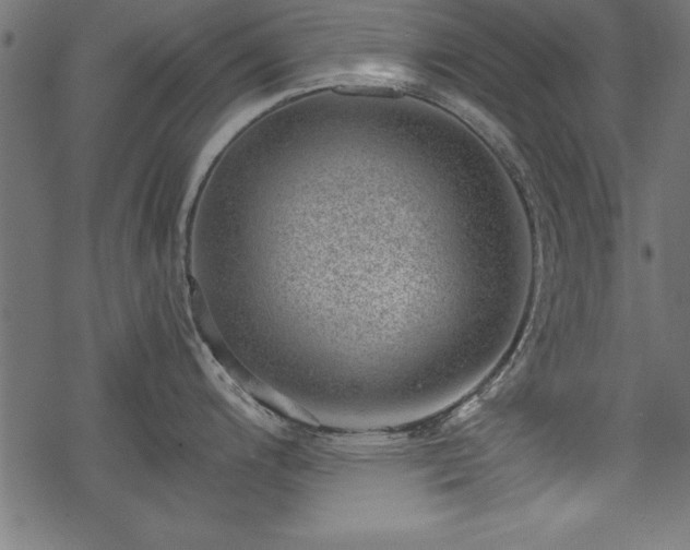 X0000068851200200605081207