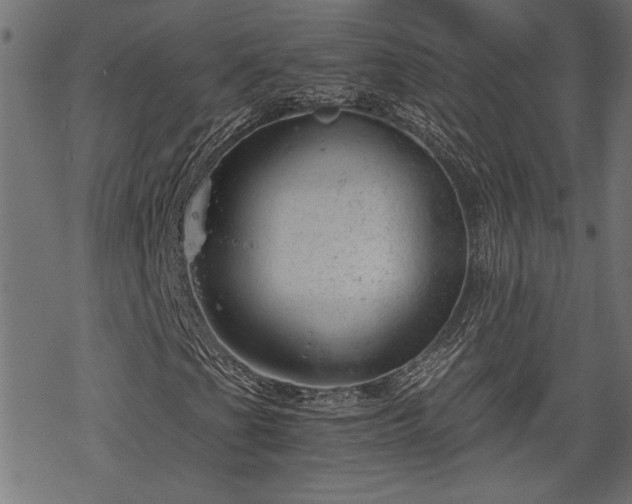 X0000068851201200605081206