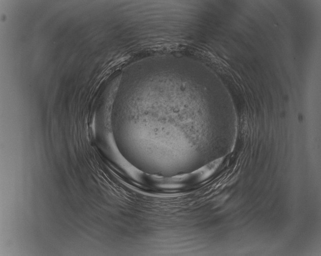 X0000068851202200605081206