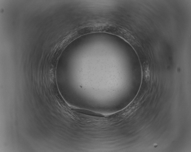 X0000068851204200605081206