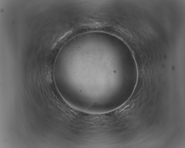 X0000068851205200605081206