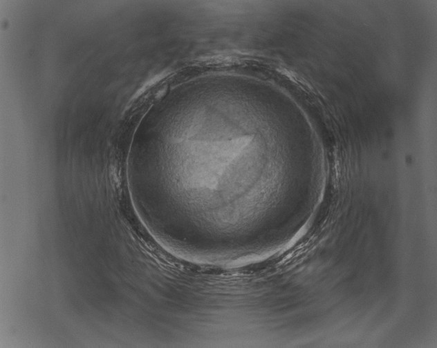 X0000068851206200605081206