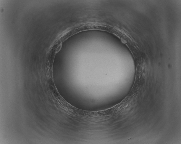 X0000068851207200605081206