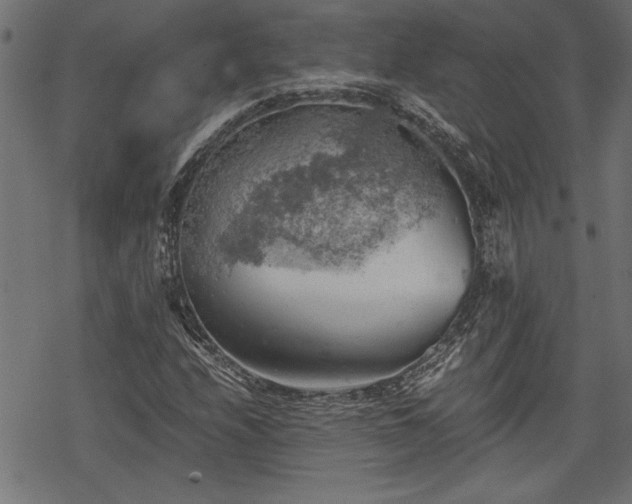 X0000068851208200605081206