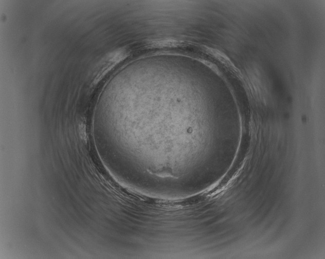 X0000068851209200605081206