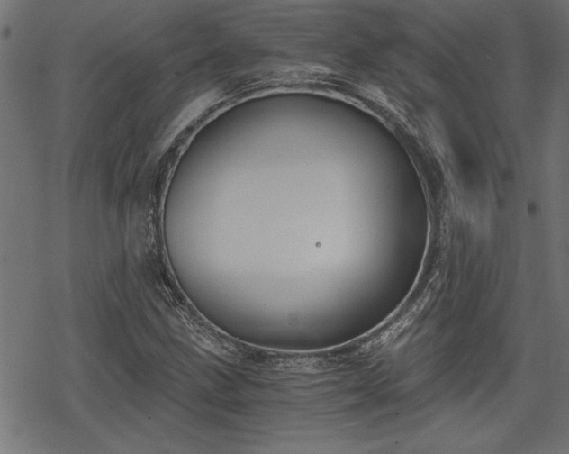 X0000068851211200605081206