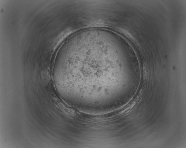 X0000068851212200605081206