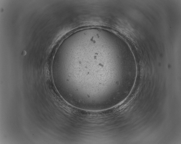 X0000068851215200605081206