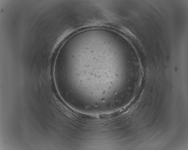 X0000068851216200605081206