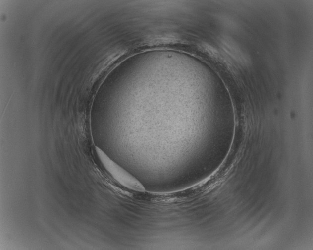 X0000068851217200605081206