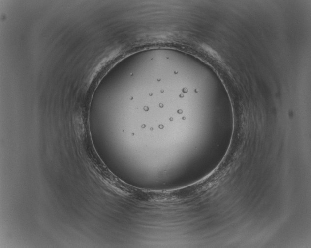 X0000068851218200605081206