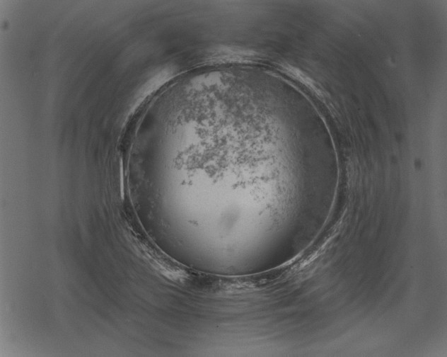 X0000068851219200605081206