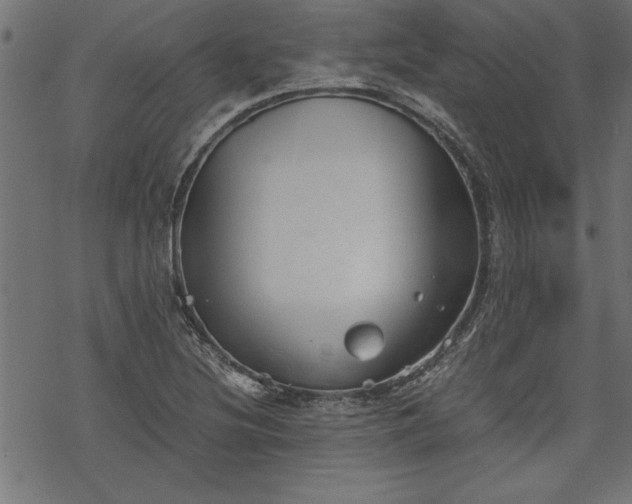 X0000068851220200605081206