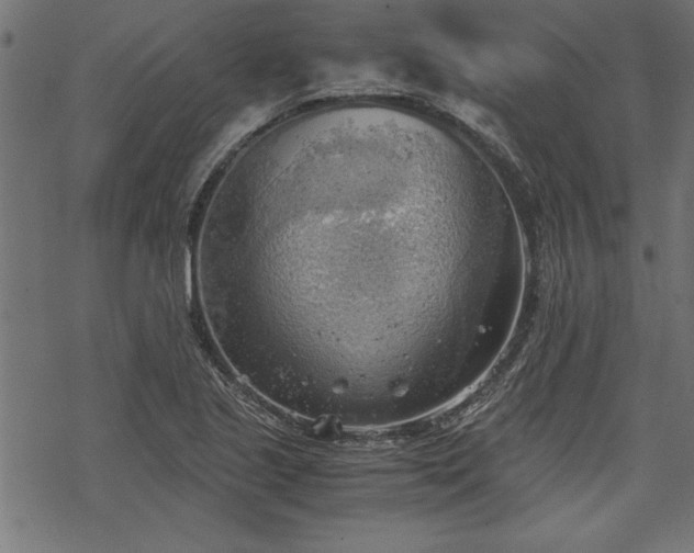 X0000068851221200605081206