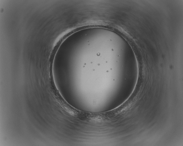 X0000068851222200605081206