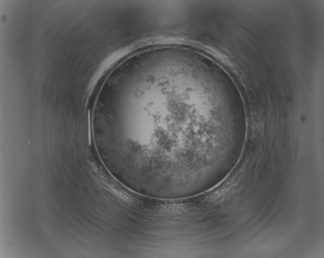 X0000068851223200605081206