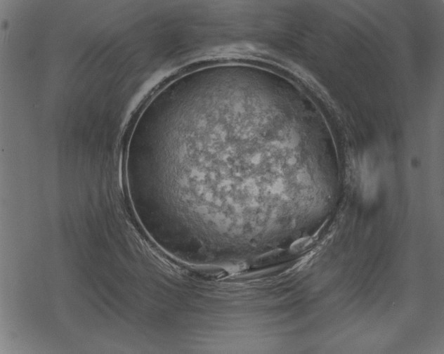 X0000068851224200605081206