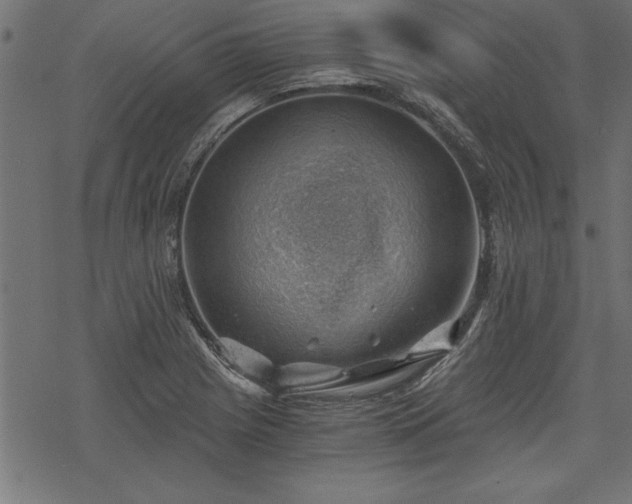 X0000068851225200605081206