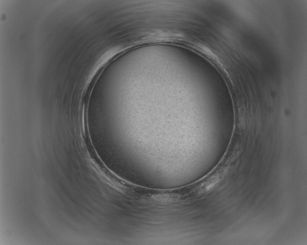 X0000068851227200605081206