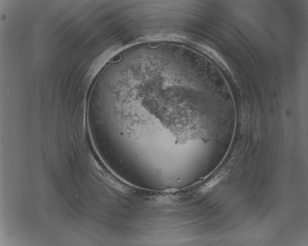 X0000068851228200605081206