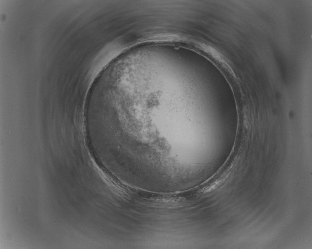 X0000068851229200605081206