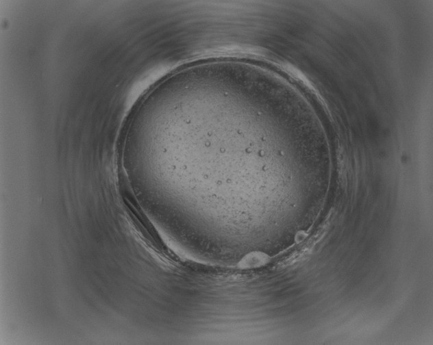 X0000068851230200605081206