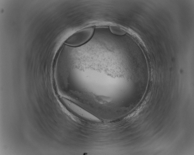 X0000068851231200605081206