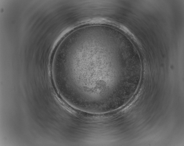 X0000068851232200605081206