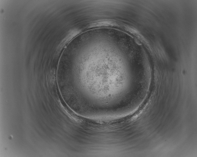 X0000068851233200605081206