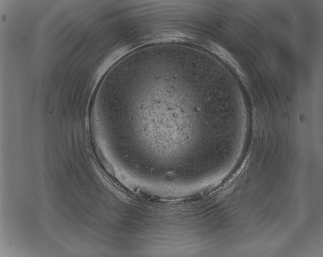 X0000068851234200605081206