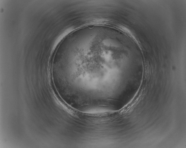 X0000068851235200605081206