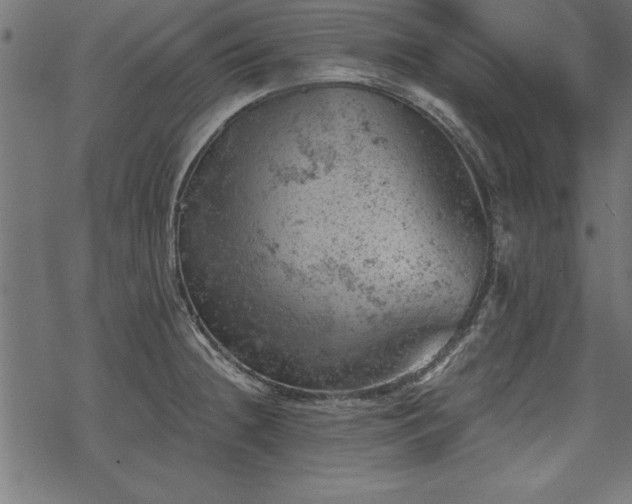 X0000068851236200605081206