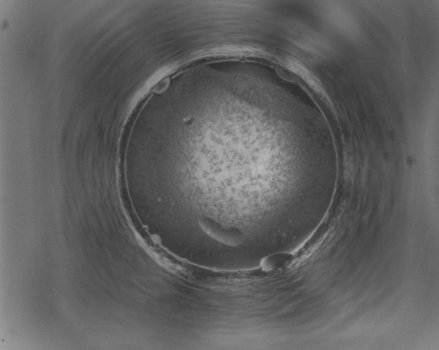 X0000068851237200605081206