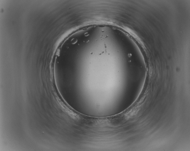 X0000068851238200605081206