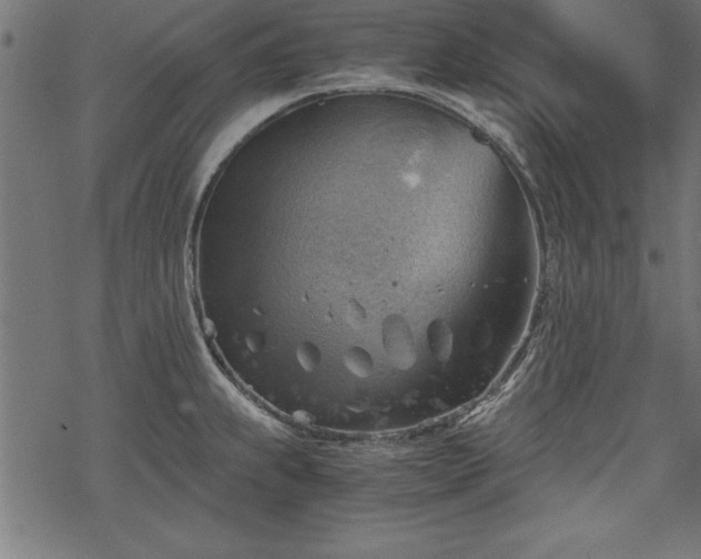 X0000068851239200605081206