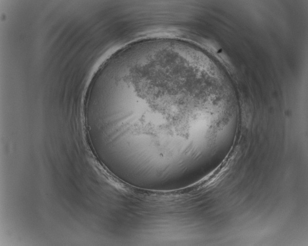 X0000068851240200605081207