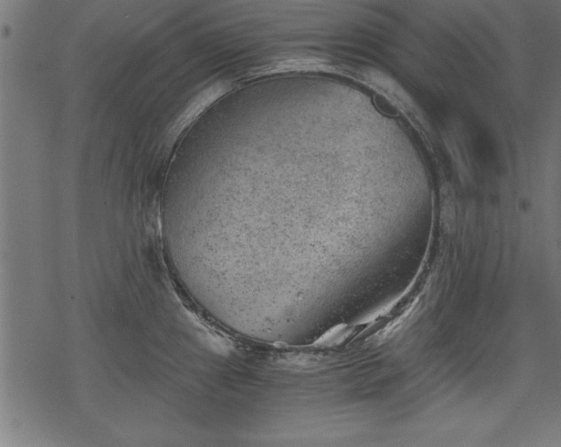 X0000068851241200605081207