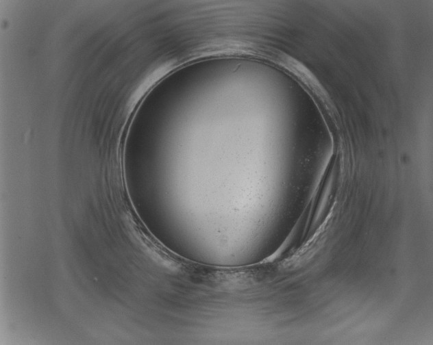 X0000068851242200605081207